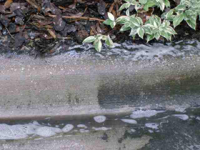 Curbs "Side-by-Side View"