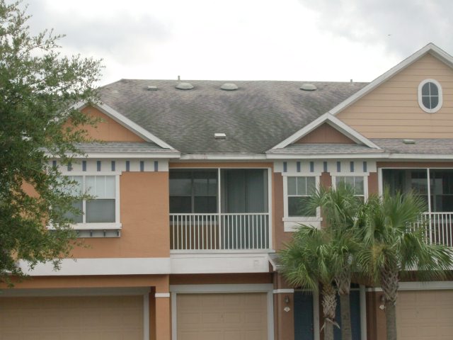 Shingle Roof Cleaning