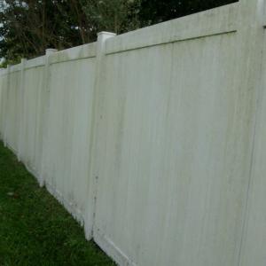 Fence Cleaning