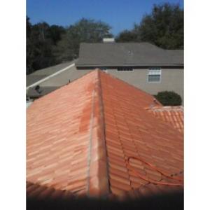 Roof Cleaning,Orlando Roof Cleaner,Tile Roofs Cleaned,No Pressure