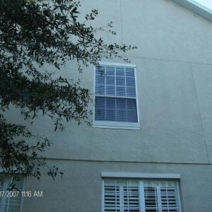 house washing Mold & Mildew Removal