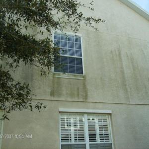 house washing Mold & Mildew Removal